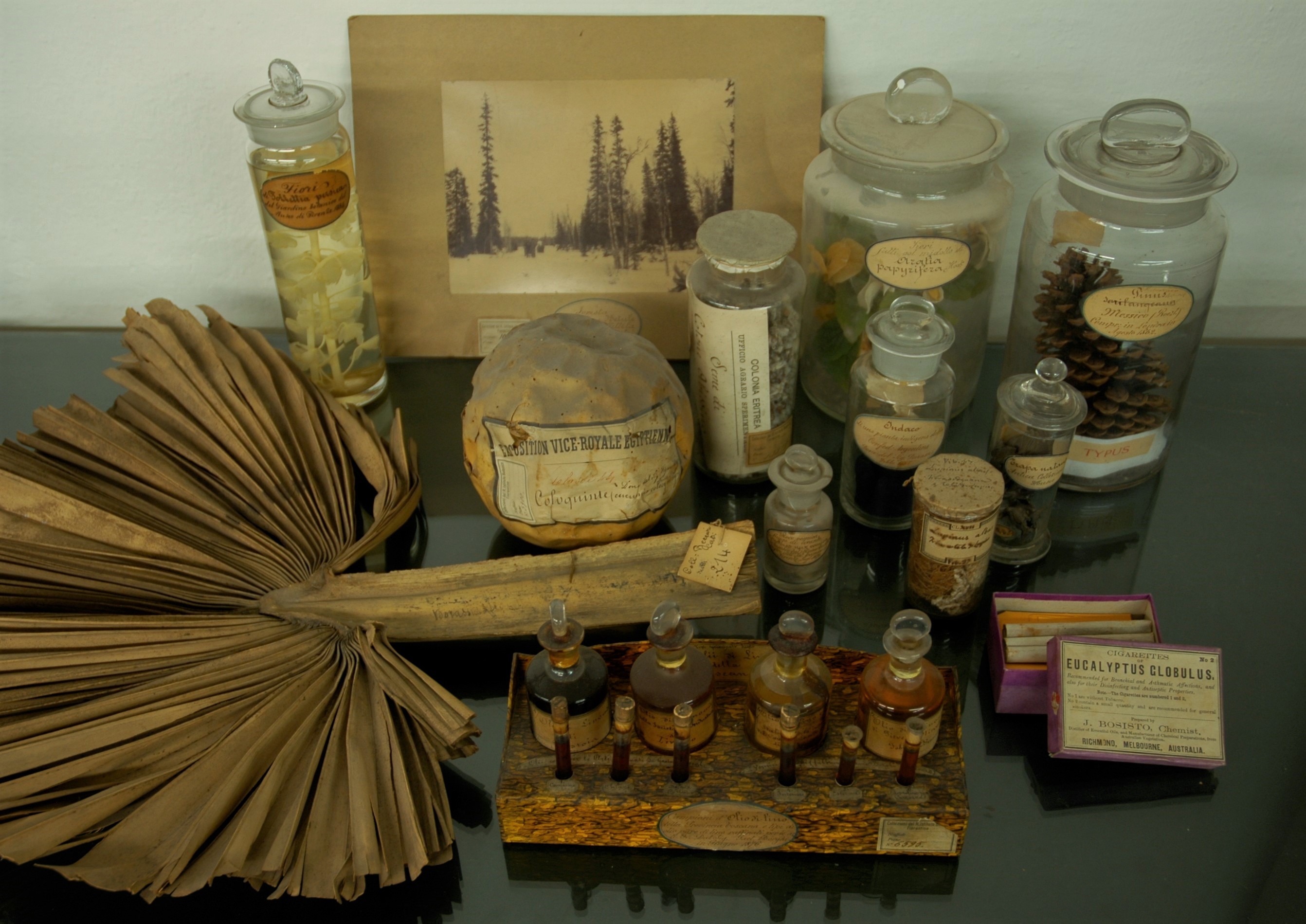 Display of museum objects.